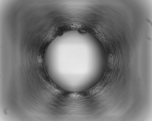 X0000098090614200804181237