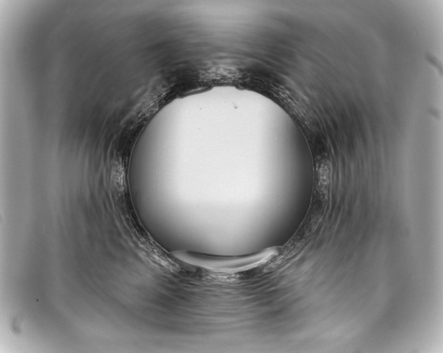 X0000098090617200804181237