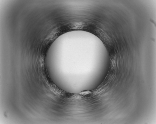 X0000098090620200804181237