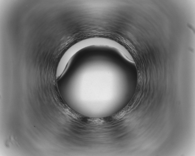 X0000098090621200804181237