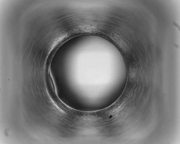 X0000098090630200804181236