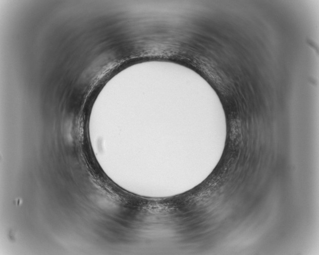 X0000098090632200804181237