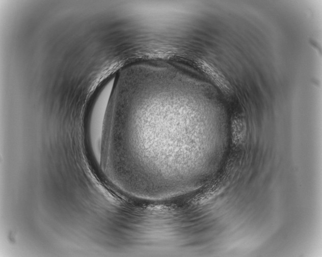 X0000098090634200804181237