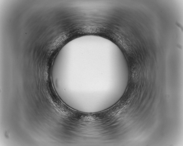 X0000098090635200804181237