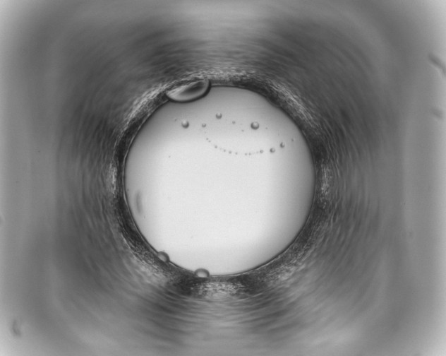 X0000098090636200804181237
