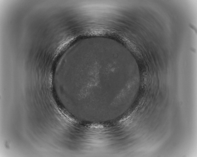 X0000098090640200804181237