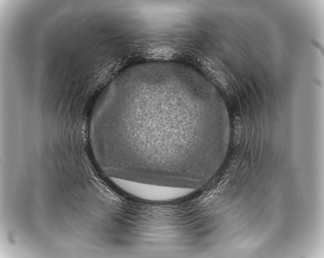 X0000098090641200804181237
