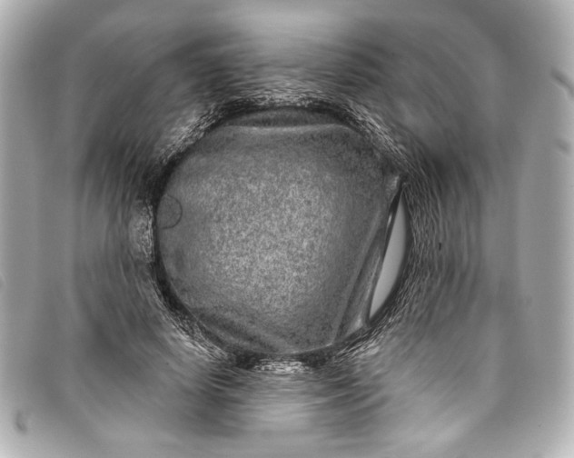 X0000098090642200804181237