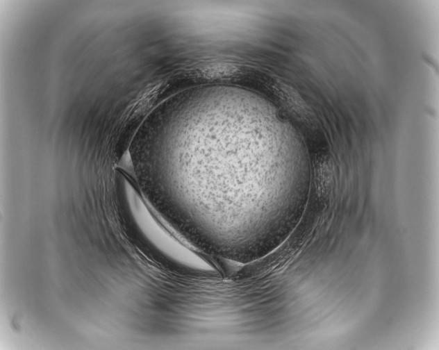 X0000098090644200804181237