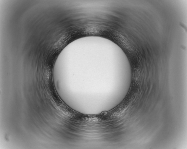X0000098090645200804181237