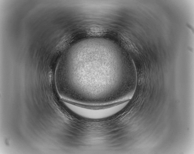 X0000098090647200804181237