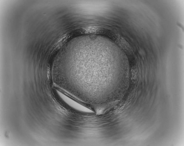 X0000098090648200804181237
