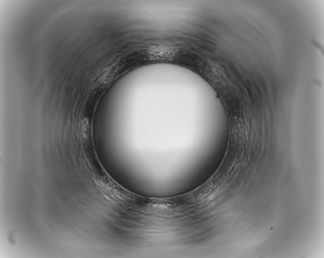 X0000098090649200804181237