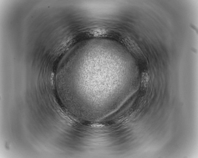 X0000098090650200804181237