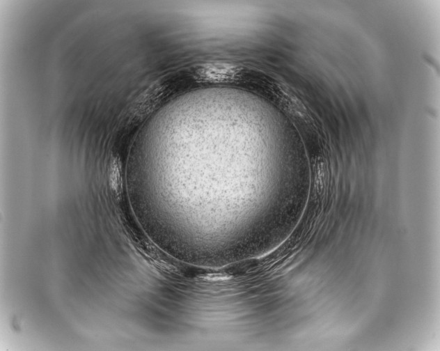 X0000098090651200804181237