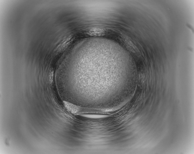 X0000098090652200804181237