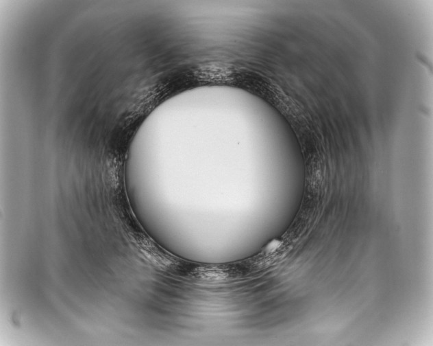 X0000098090658200804181237