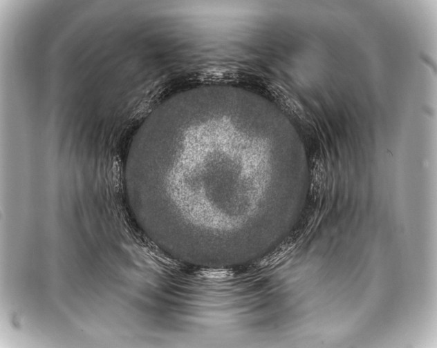 X0000098090659200804181237