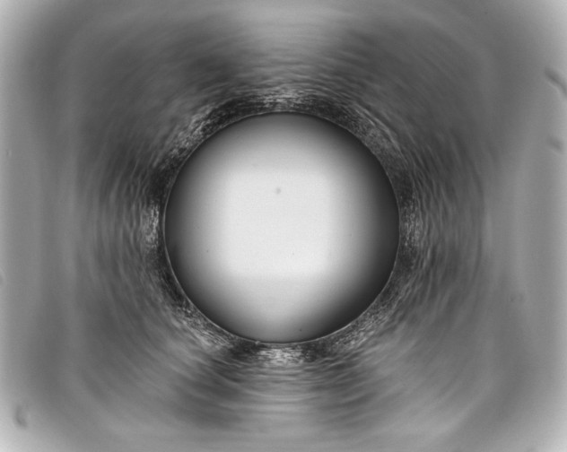 X0000098090660200804181237