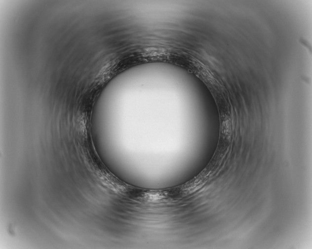 X0000098090662200804181237
