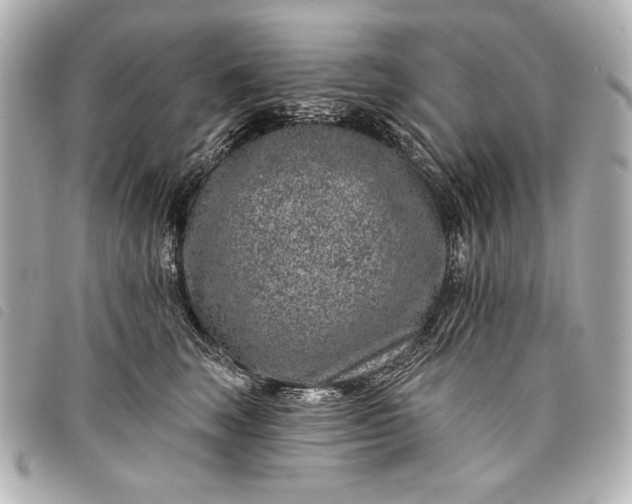 X0000098090663200804181237