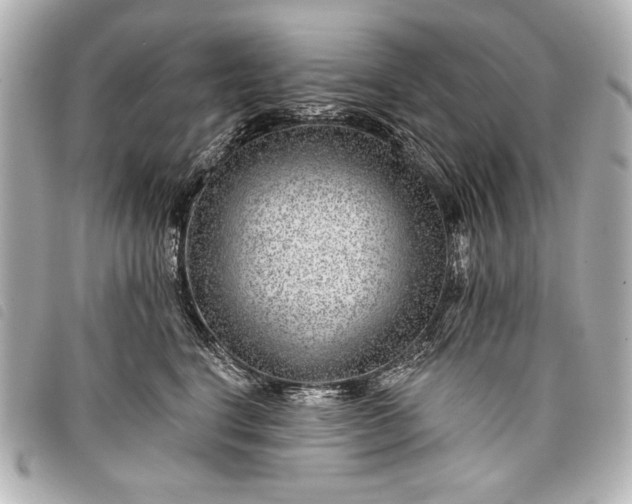 X0000098090664200804181237