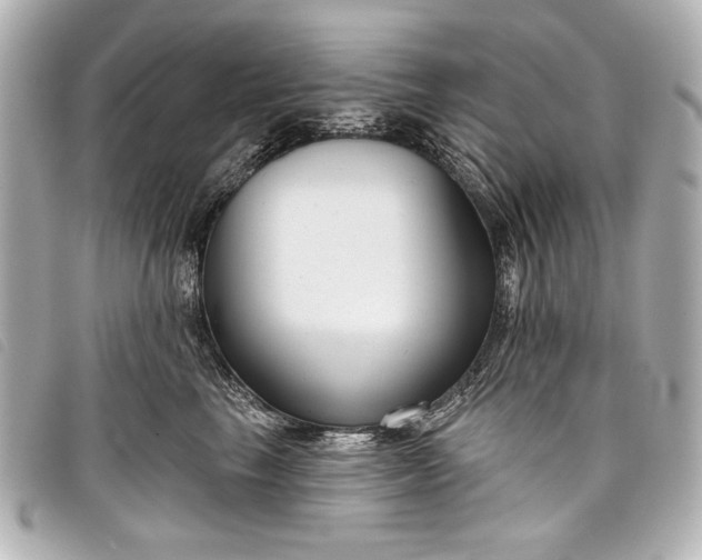 X0000098090665200804181237