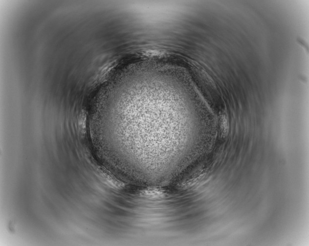 X0000098090668200804181237