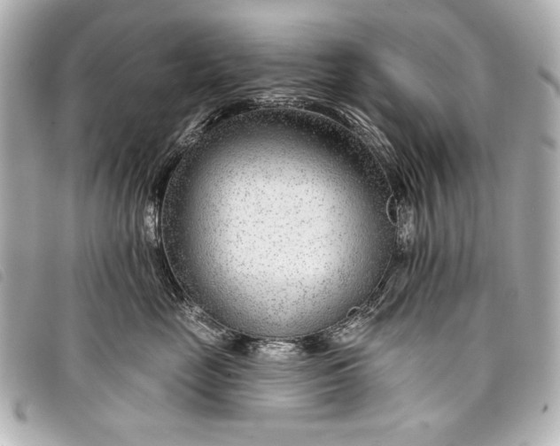 X0000098090669200804181237