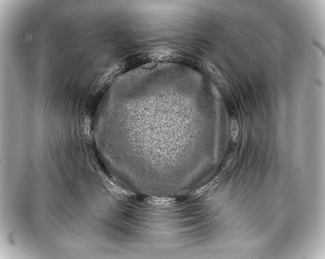 X0000098090670200804181237