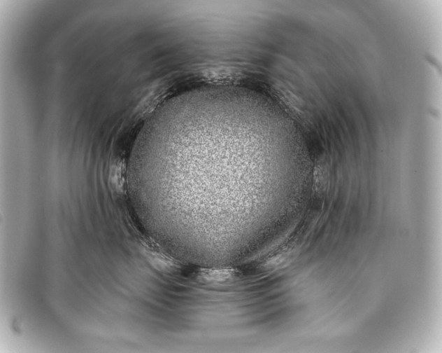 X0000098090671200804181237