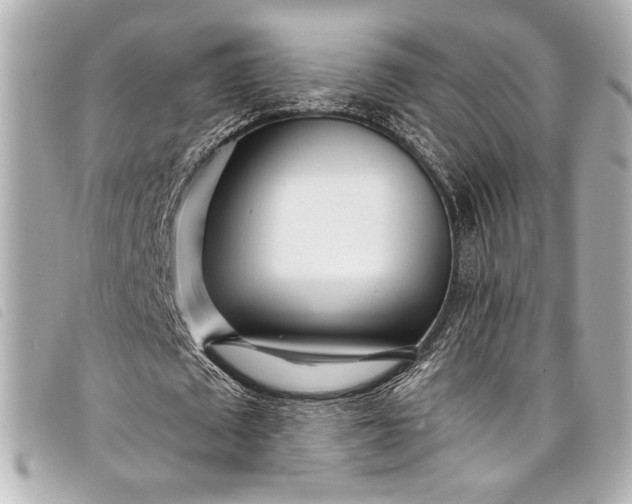 X0000098090673200804181236