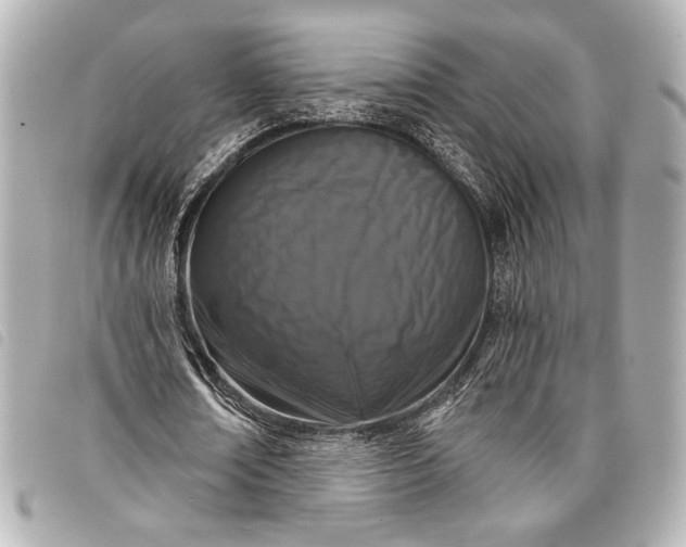 X0000098090674200804181236