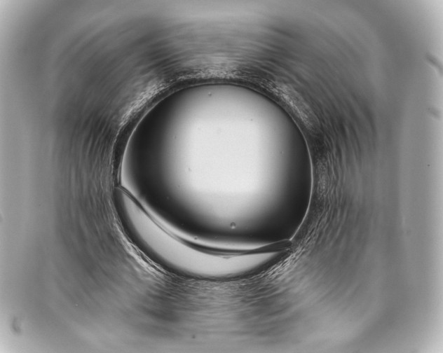 X0000098090677200804181236