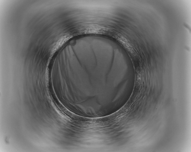 X0000098090678200804181236