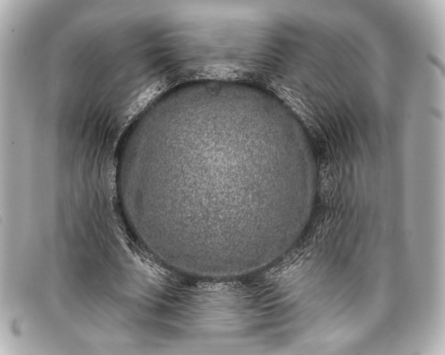 X0000098090679200804181236