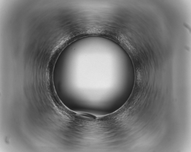 X0000098090684200804181236