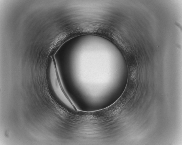 X0000098090685200804181236
