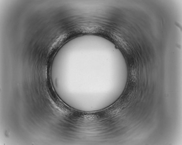 X0000098090686200804181236