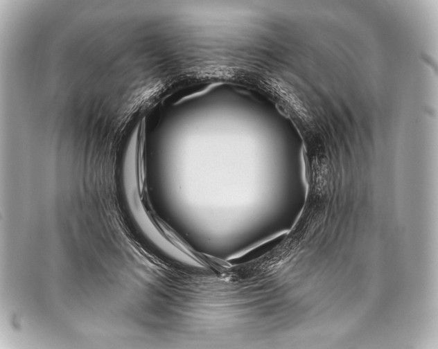X0000098090692200804181236