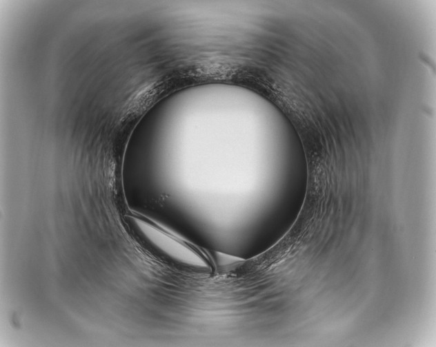 X0000098090693200804181236