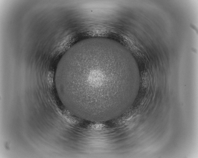 X0000098090695200804181236