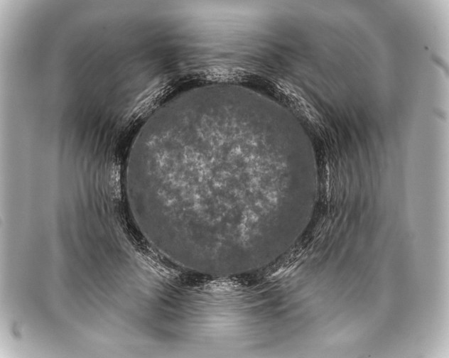 X0000098090696200804181236