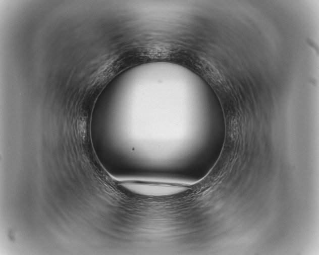 X0000098090697200804181236