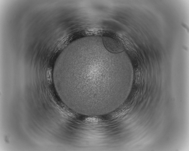 X0000098090699200804181236
