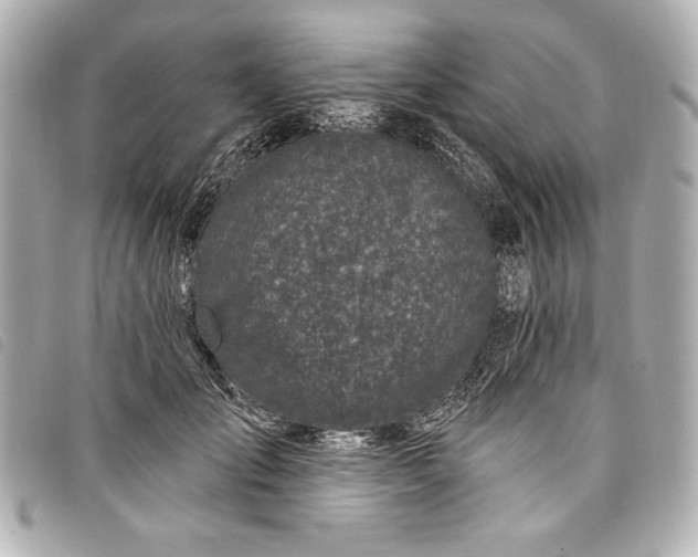 X0000098090701200804181236