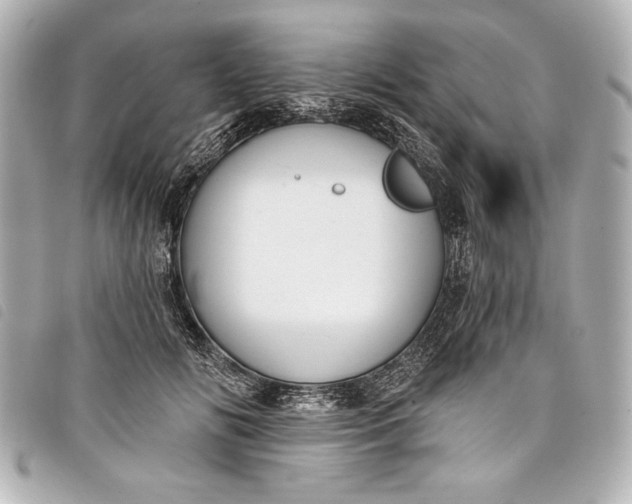 X0000098090702200804181236