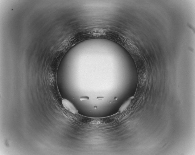 X0000098090704200804181236