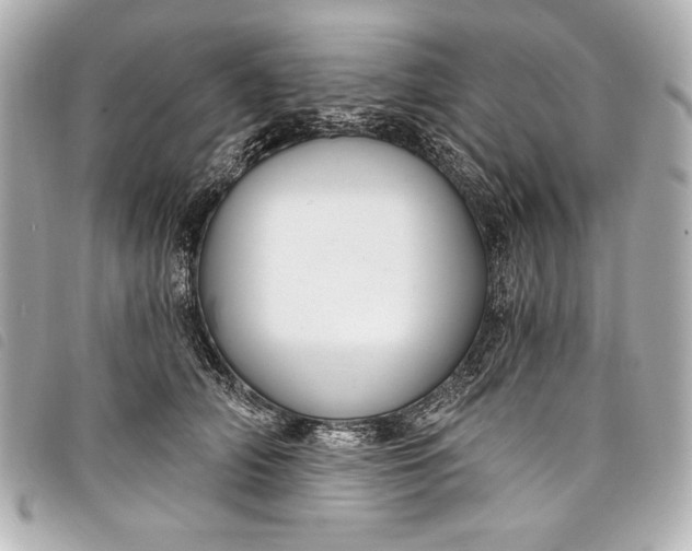 X0000098090706200804181236