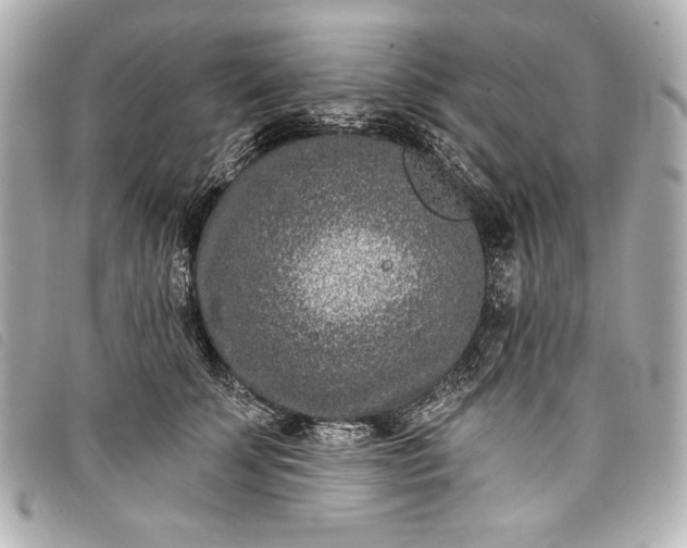 X0000098090707200804181236